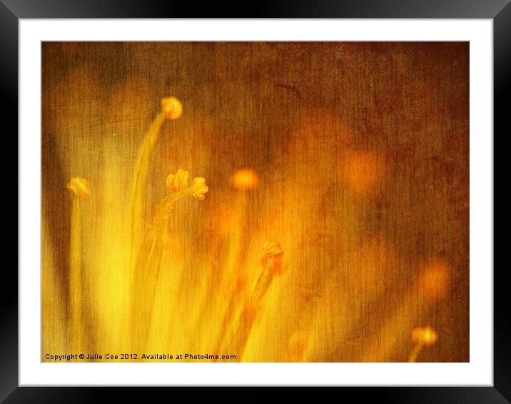 Yellow Strands Framed Mounted Print by Julie Coe