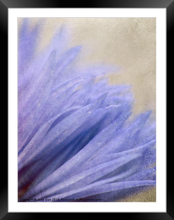 Petals of Blue Framed Mounted Print by Julie Coe