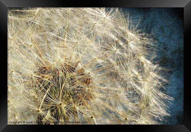 Natures Own Framed Print by Julie Coe