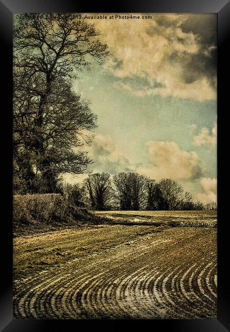 Wintery Framed Print by Julie Coe