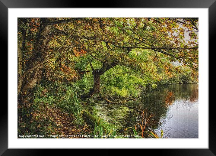 Along The Lake Framed Mounted Print by Julie Coe