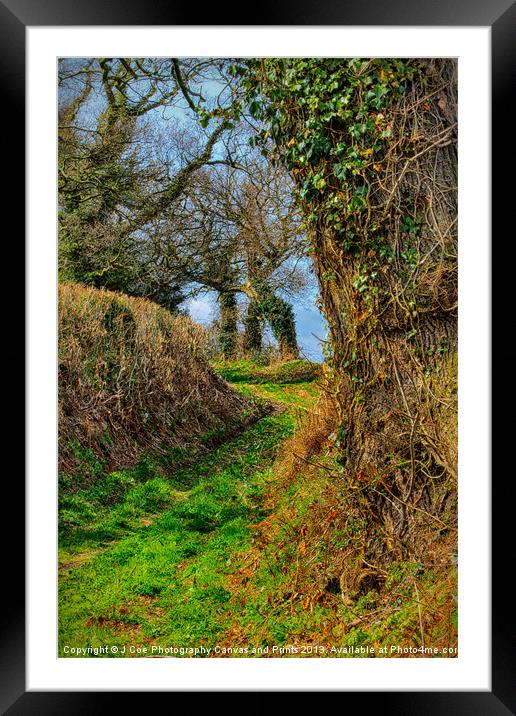 A Norfolk Country Lane Framed Mounted Print by Julie Coe