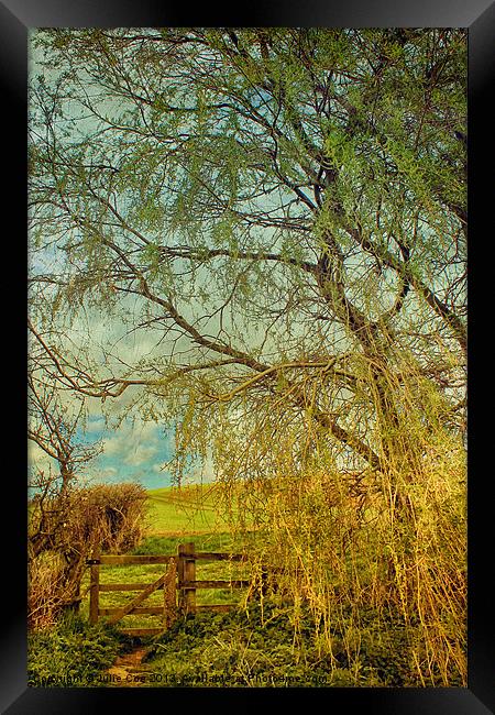 Gate From The Meadow Framed Print by Julie Coe
