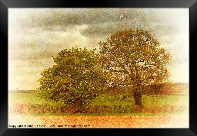 Trees and Seagulls Framed Print by Julie Coe