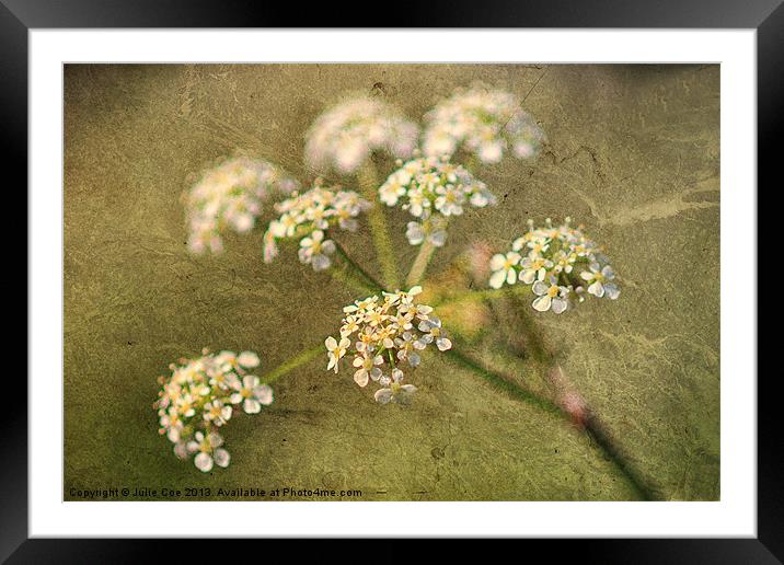 Cow Parsley Framed Mounted Print by Julie Coe