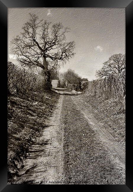 Turkey Lane, Edgefield Framed Print by Julie Coe