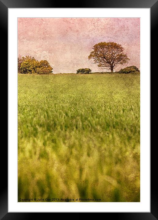 A Norfolk Field Framed Mounted Print by Julie Coe