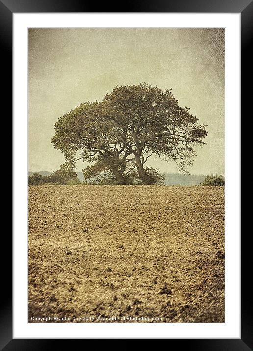Muted Tree Framed Mounted Print by Julie Coe