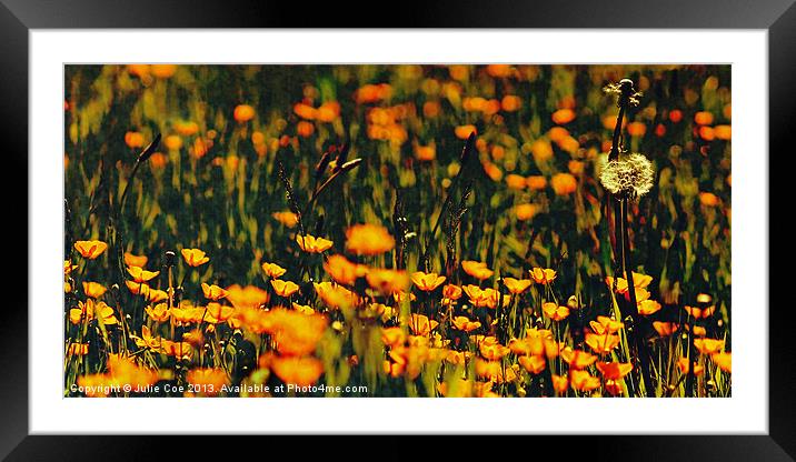 Buttercup Clocks Framed Mounted Print by Julie Coe