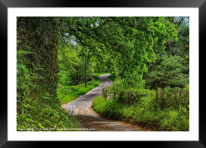To Edgefield - Landscape version. Framed Mounted Print by Julie Coe