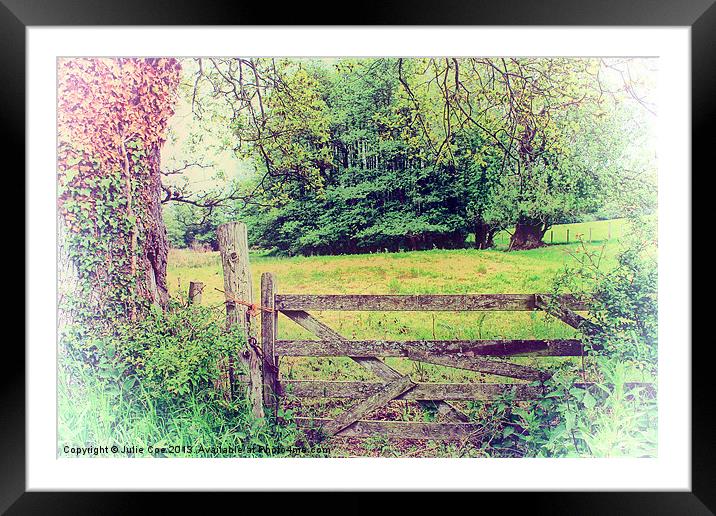 Field Gate Framed Mounted Print by Julie Coe