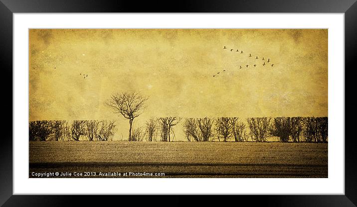 Dare To be Different Framed Mounted Print by Julie Coe