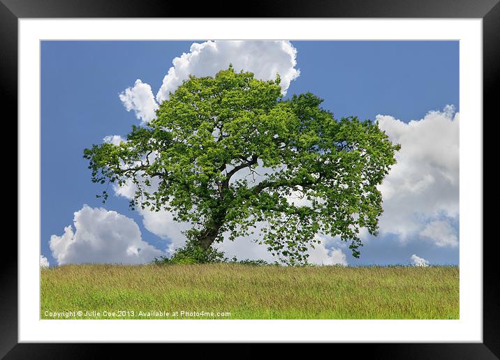 A Beautiful Tree Framed Mounted Print by Julie Coe