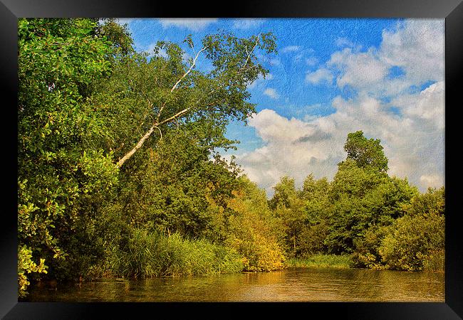 On The Broads Framed Print by Julie Coe