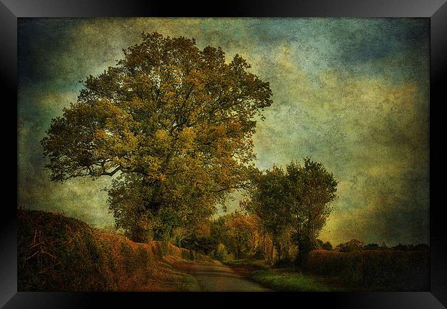 Country Road 3 Framed Print by Julie Coe