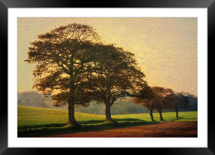 The 5 Trees v2 Framed Mounted Print by Julie Coe