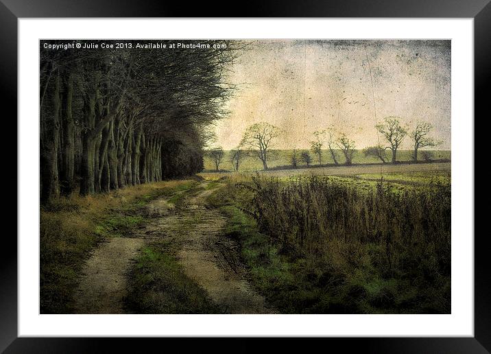 Cold Norfolk Morning Framed Mounted Print by Julie Coe