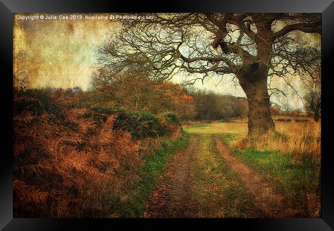 A Norfolk Walk 2 Framed Print by Julie Coe