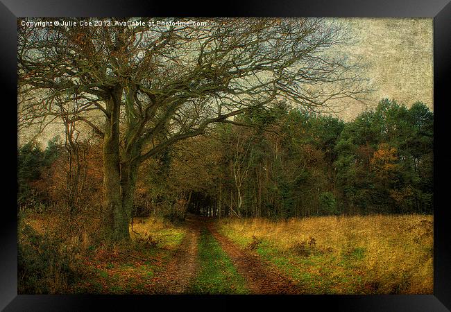 Enter The Woods Framed Print by Julie Coe
