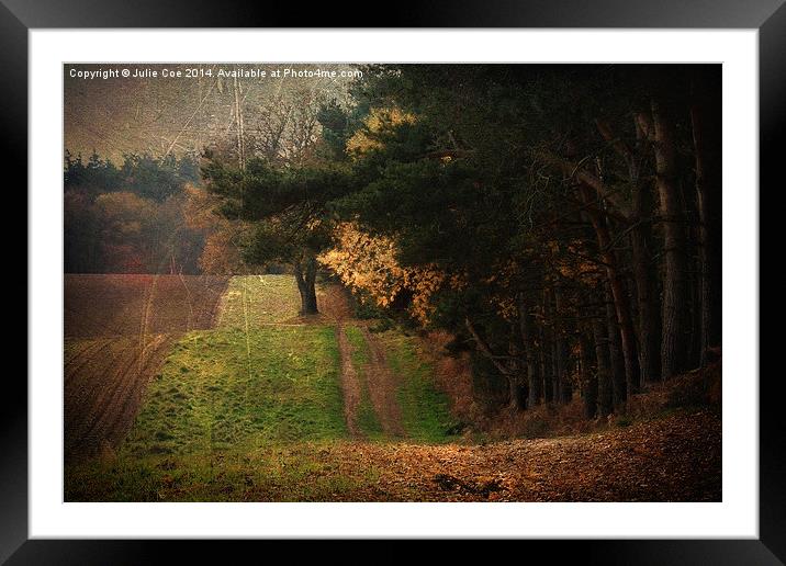 Edge Of The Woods Framed Mounted Print by Julie Coe