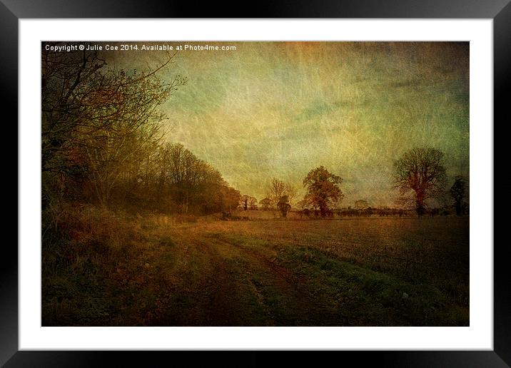 Over A Field Framed Mounted Print by Julie Coe