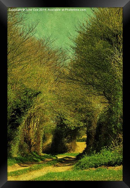 Green Lane Framed Print by Julie Coe