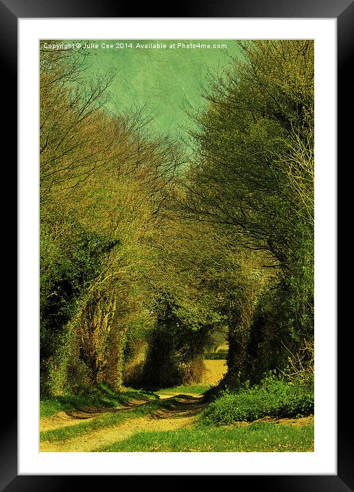 Green Lane Framed Mounted Print by Julie Coe
