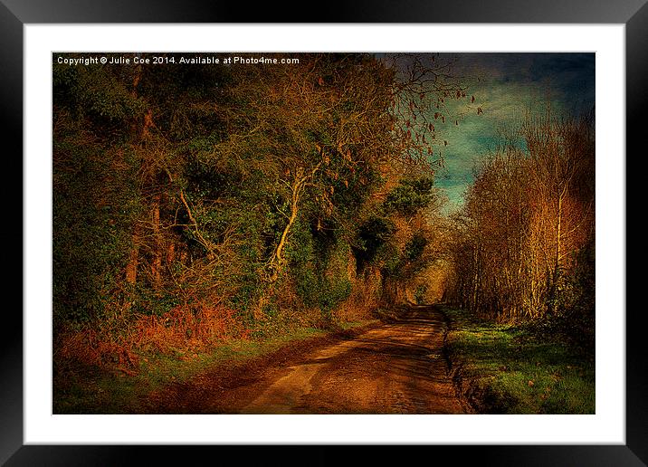 Pond Hills Road Framed Mounted Print by Julie Coe