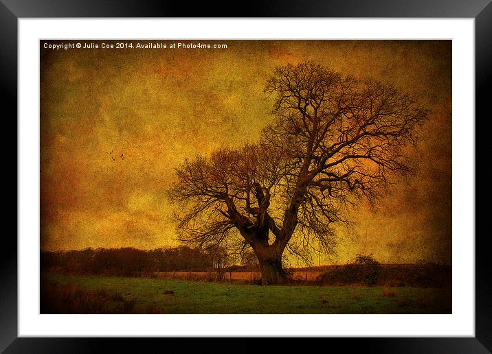 Tree In A Field! Framed Mounted Print by Julie Coe