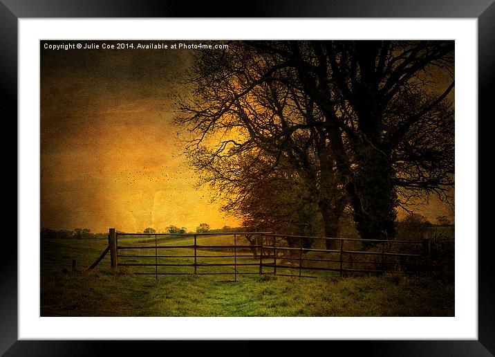 Norfolk Countryside 6 Framed Mounted Print by Julie Coe