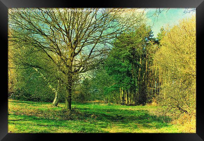Springtime Walks Framed Print by Julie Coe