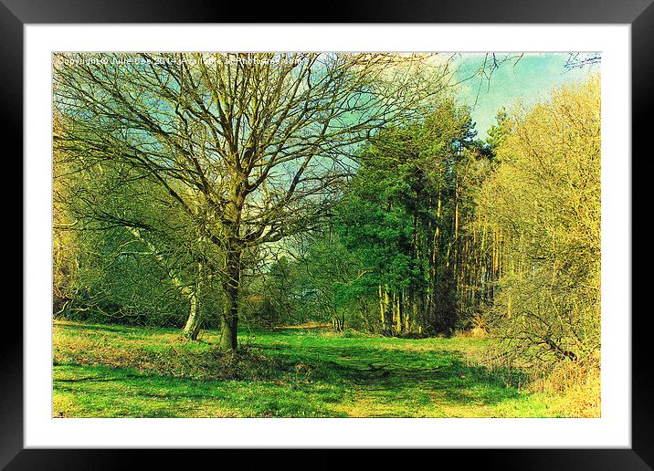 Springtime Walks Framed Mounted Print by Julie Coe