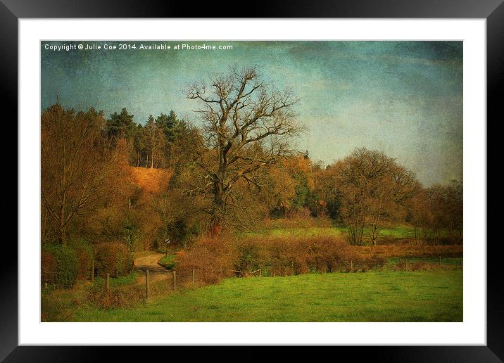 Hunworth, Norfolk Framed Mounted Print by Julie Coe