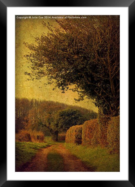 Private Lane 2 Framed Mounted Print by Julie Coe
