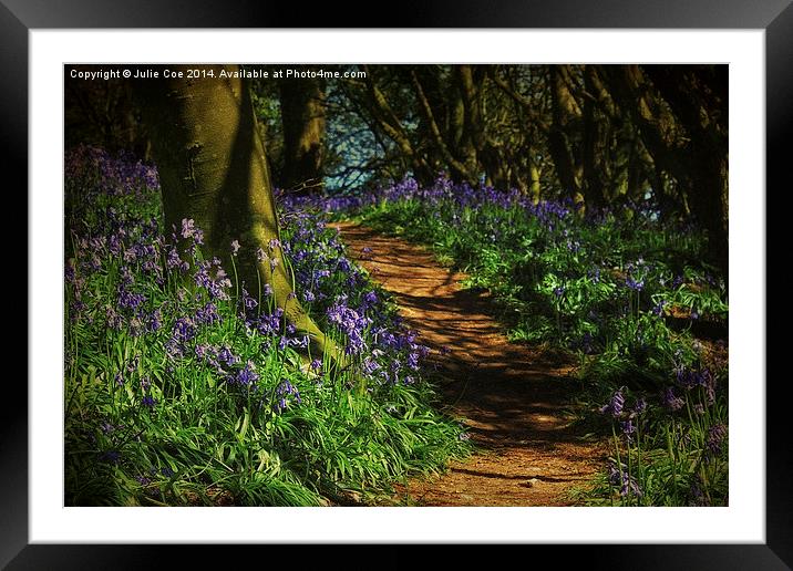 Bunkers Hill Bluebells Framed Mounted Print by Julie Coe