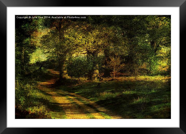 Blickling, Norfolk 5 Framed Mounted Print by Julie Coe