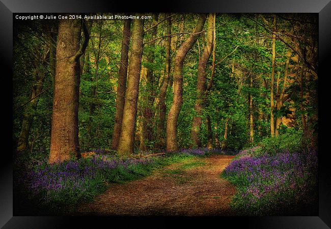 Bluebells At Blickling 7 Framed Print by Julie Coe