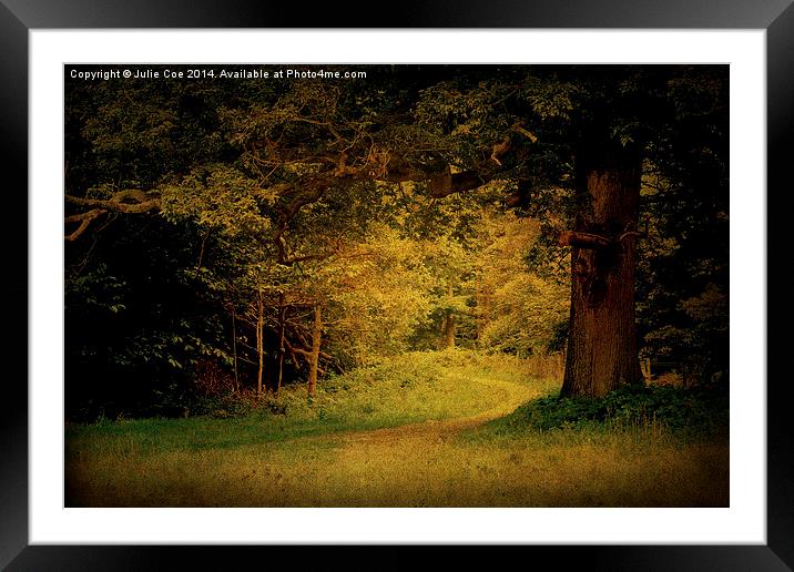 Blickling Woods 12 Framed Mounted Print by Julie Coe