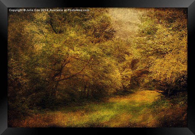 Blickling Woods 13 Framed Print by Julie Coe