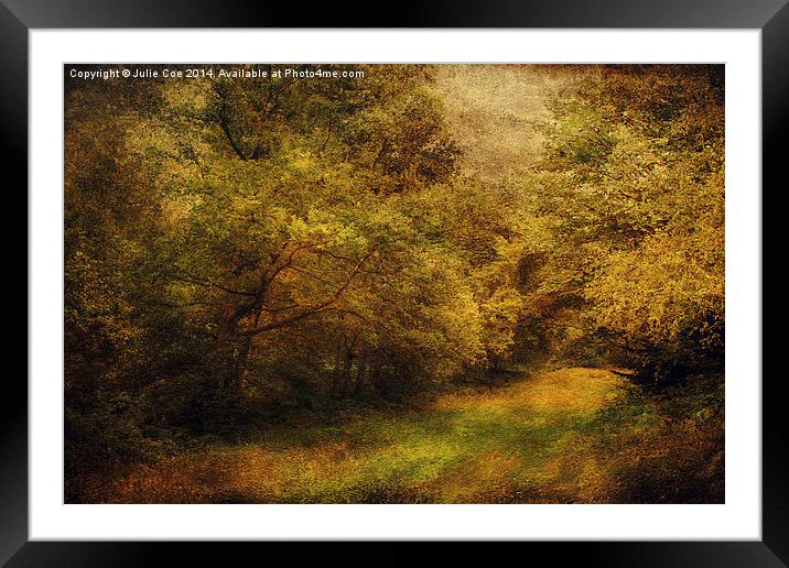 Blickling Woods 13 Framed Mounted Print by Julie Coe