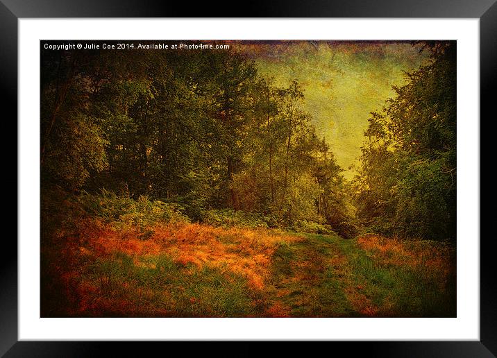 Blickling Woods 16 Framed Mounted Print by Julie Coe