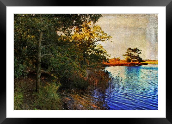 Autumn Holkham 2 Framed Mounted Print by Julie Coe