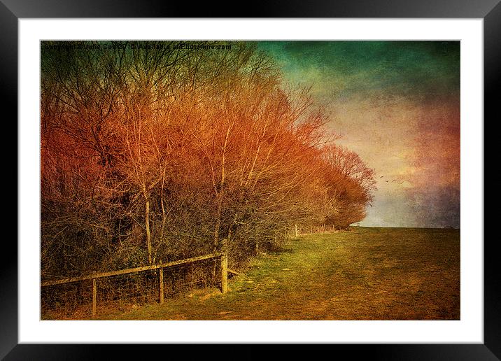 View From Bunkers 3 Framed Mounted Print by Julie Coe