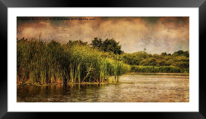 River Ant 98 Framed Mounted Print by Julie Coe
