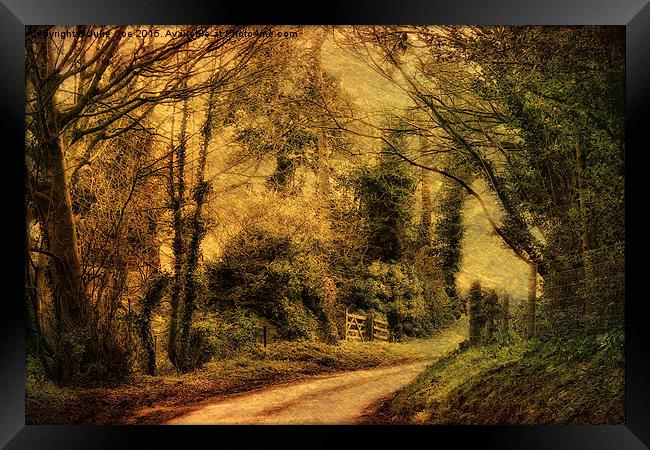Hunny Road, Edgefield 4a Framed Print by Julie Coe