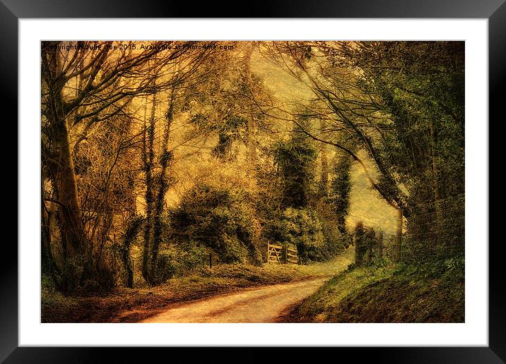 Hunny Road, Edgefield 4a Framed Mounted Print by Julie Coe