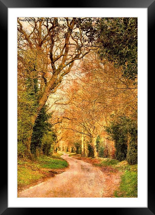 Road To Stody Framed Mounted Print by Julie Coe