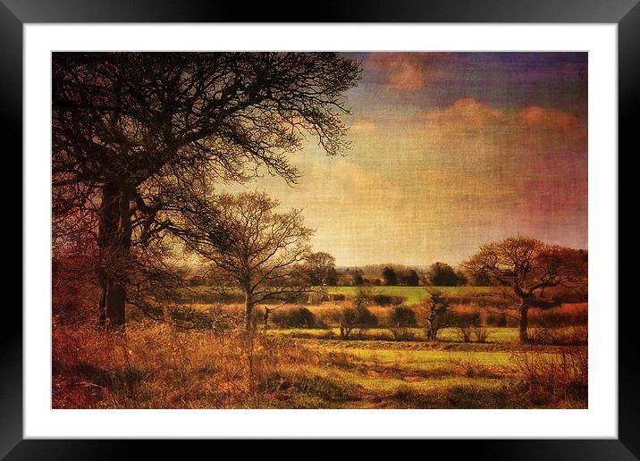 Along Briston Road 2 Framed Mounted Print by Julie Coe