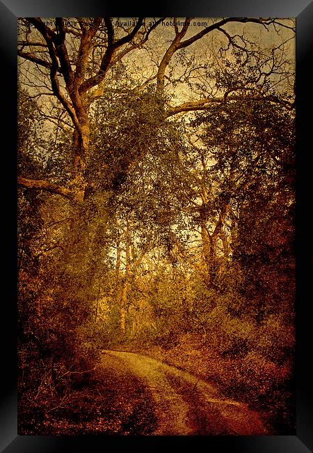 Walk To Hempstead 4 Framed Print by Julie Coe