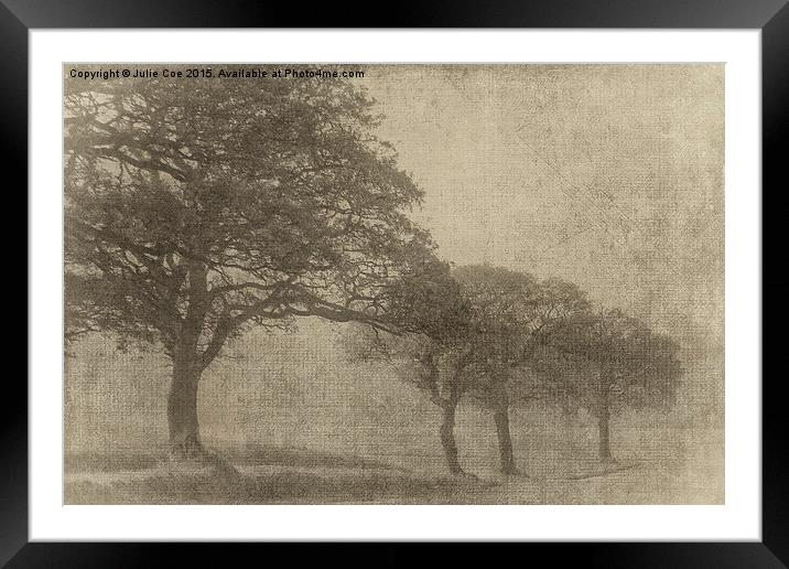 Misty Trees Framed Mounted Print by Julie Coe